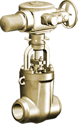 Gate valve 1012-225-e picture