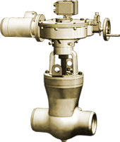 Gate valve 2с-e-2 picture